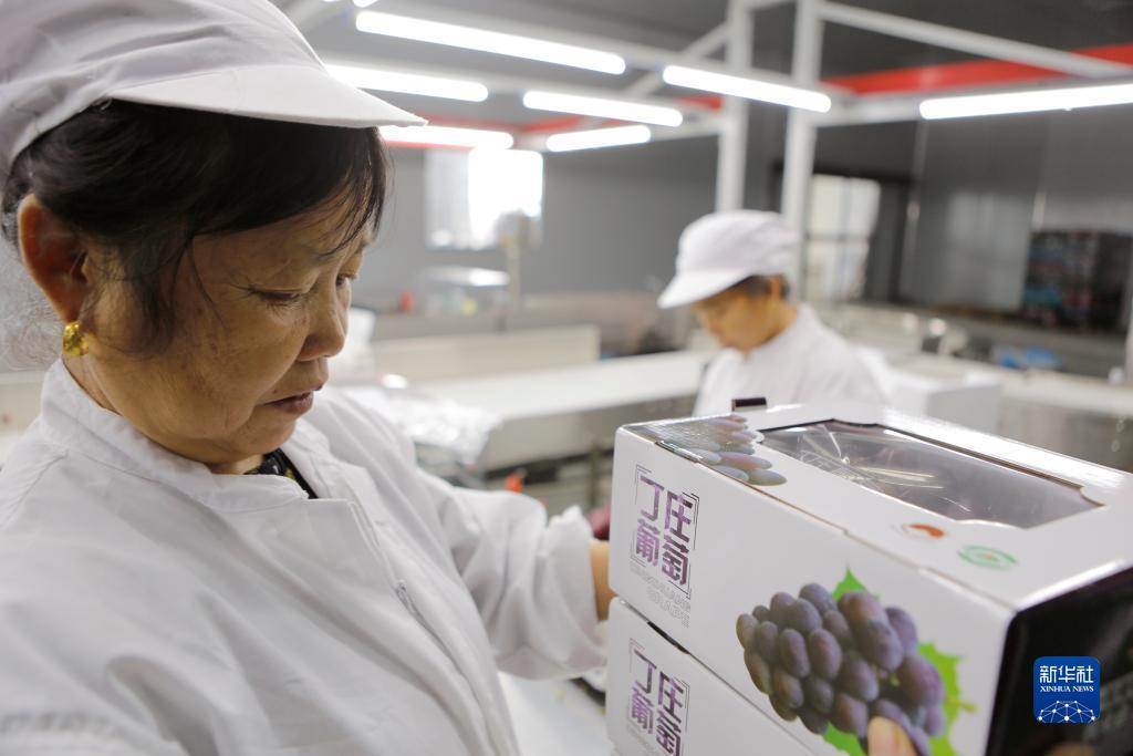 棋牌游戏推荐